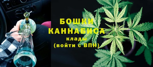 гидропоника Медногорск
