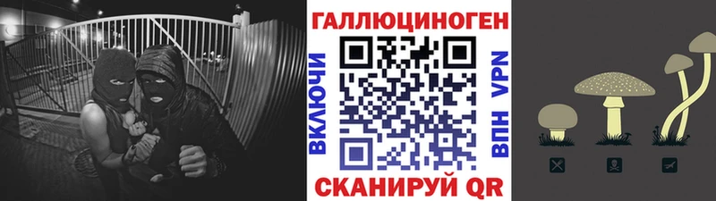 Псилоцибиновые грибы прущие грибы  купить закладку  дарк нет наркотические препараты  Чкаловск 